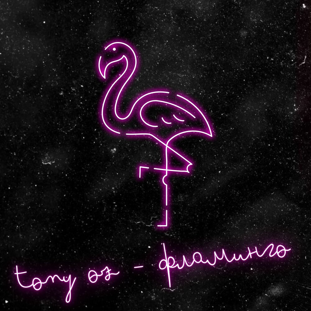 Слушать песню фламинго. Обложка к треку Фламинго. Tony Flamingo. Toni oz.