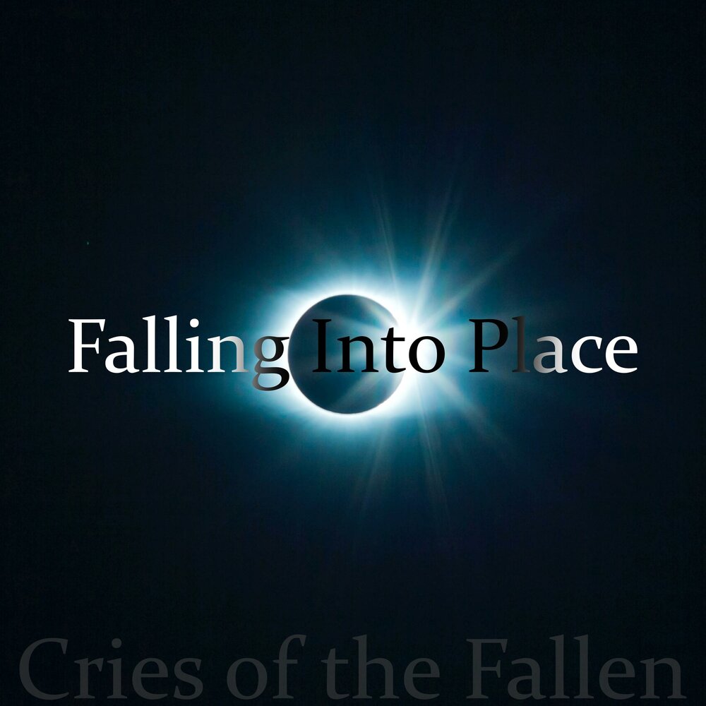 Falling into place finch. Falling into place. Falling into place. Falling into place. Falling into place.