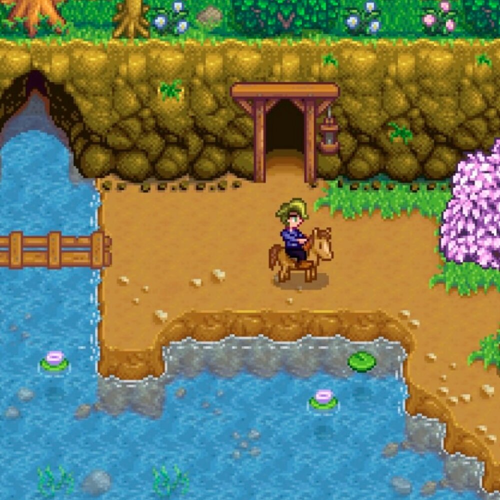 Stardew valley озеро