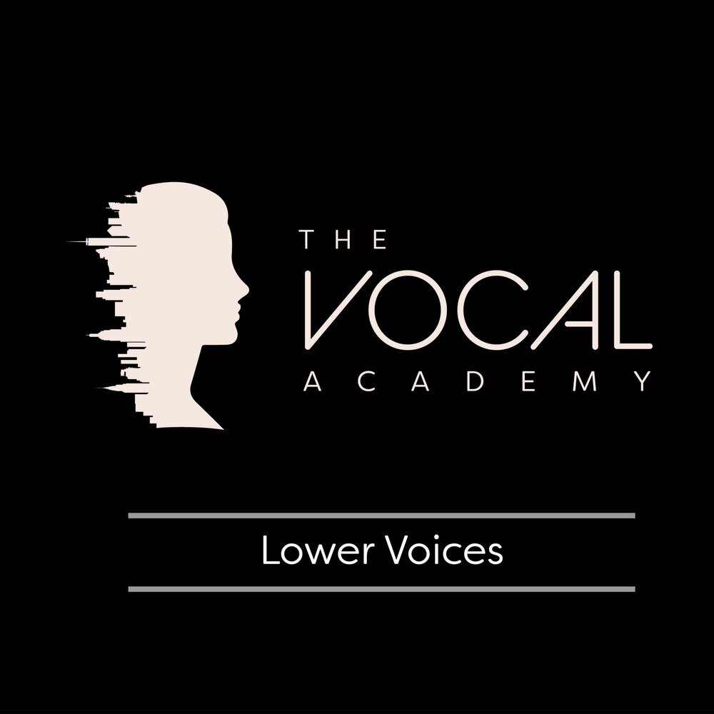 Lower your voice. Academic Vocals. Low Voice. Voice lower PNG.