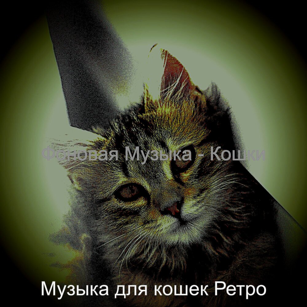 Музыка для кошек. Музыка для кошек. Песни про котят. Музыка для кошек слушать на кошачьем языке. Музыка для кошек слушать на кошачьем языке.