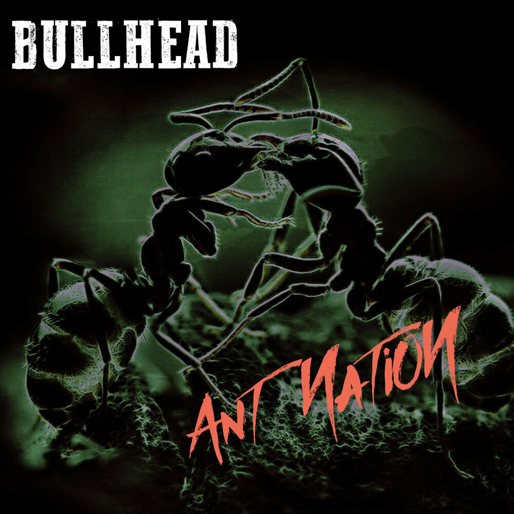 Музыка бесплатные правда. Буллхед. Bullhead (album). Melvins Bullhead. 1991 - Bullhead.