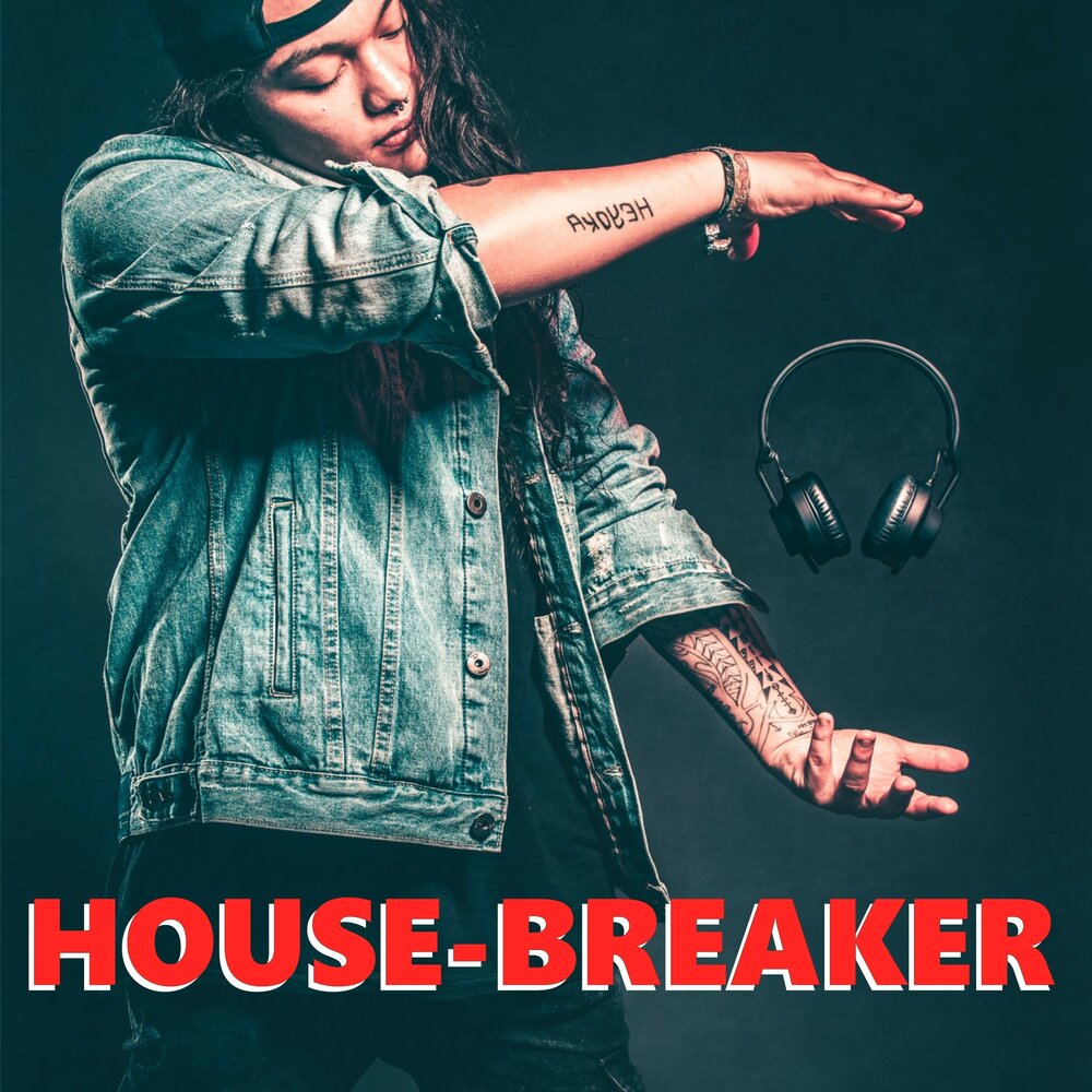 House breaking