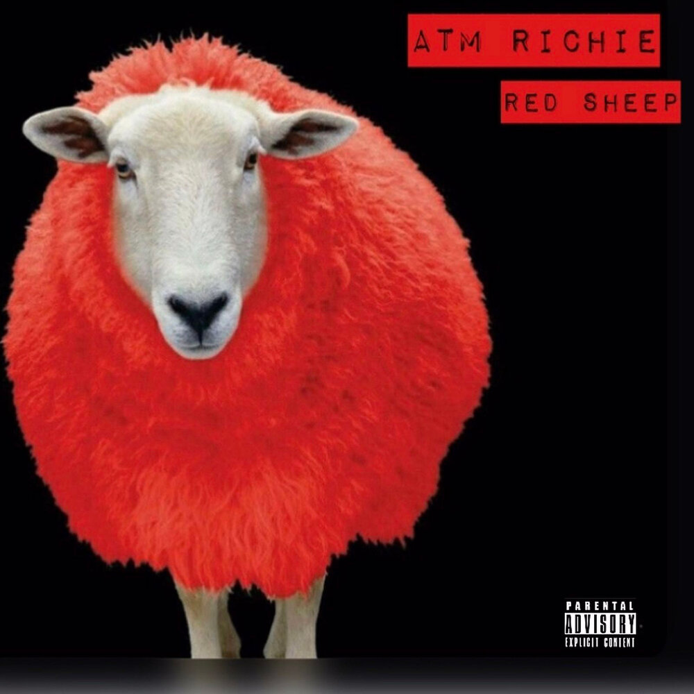 Sheep слушать. Red Sheep. Red Sheep Texas.