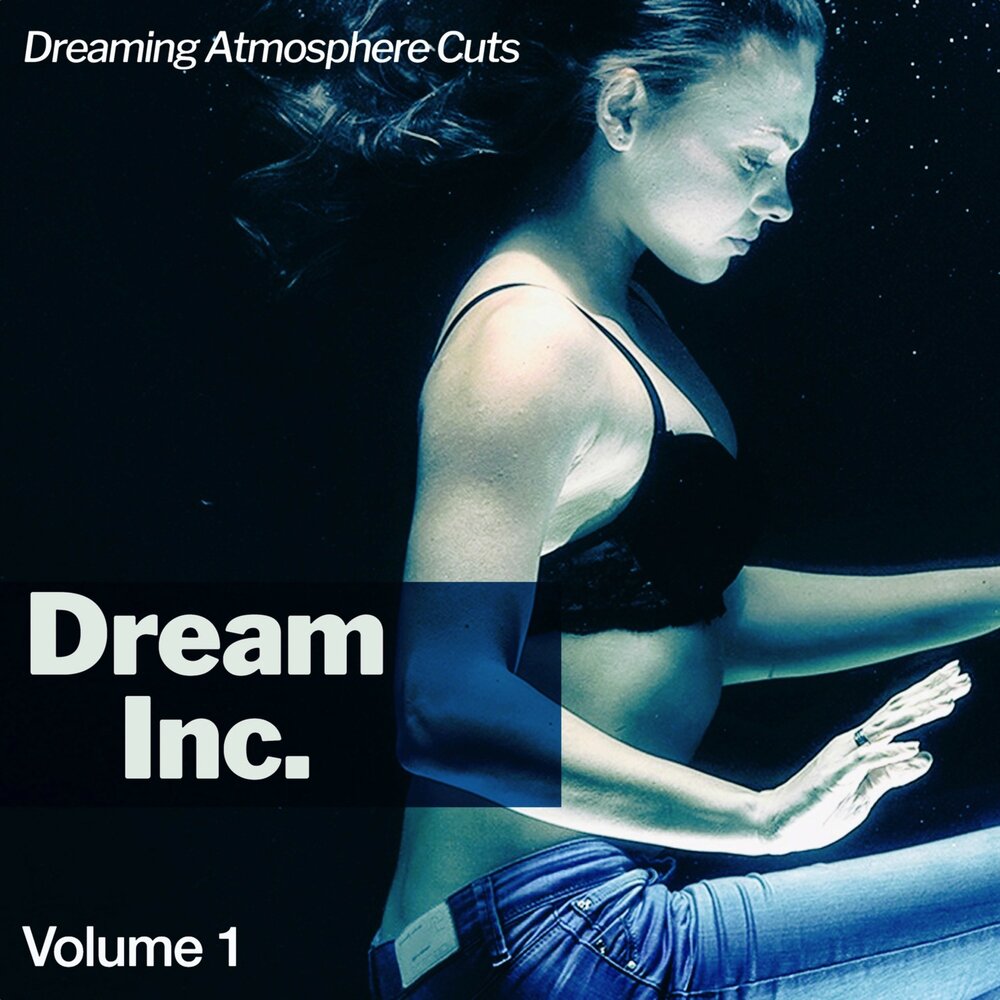 Фабрика матрасов логотип. Матрас dreaminc агат 90x200 см. Матрас dreaminc агат 90x200 см. Матрас логотип. Dream inc.