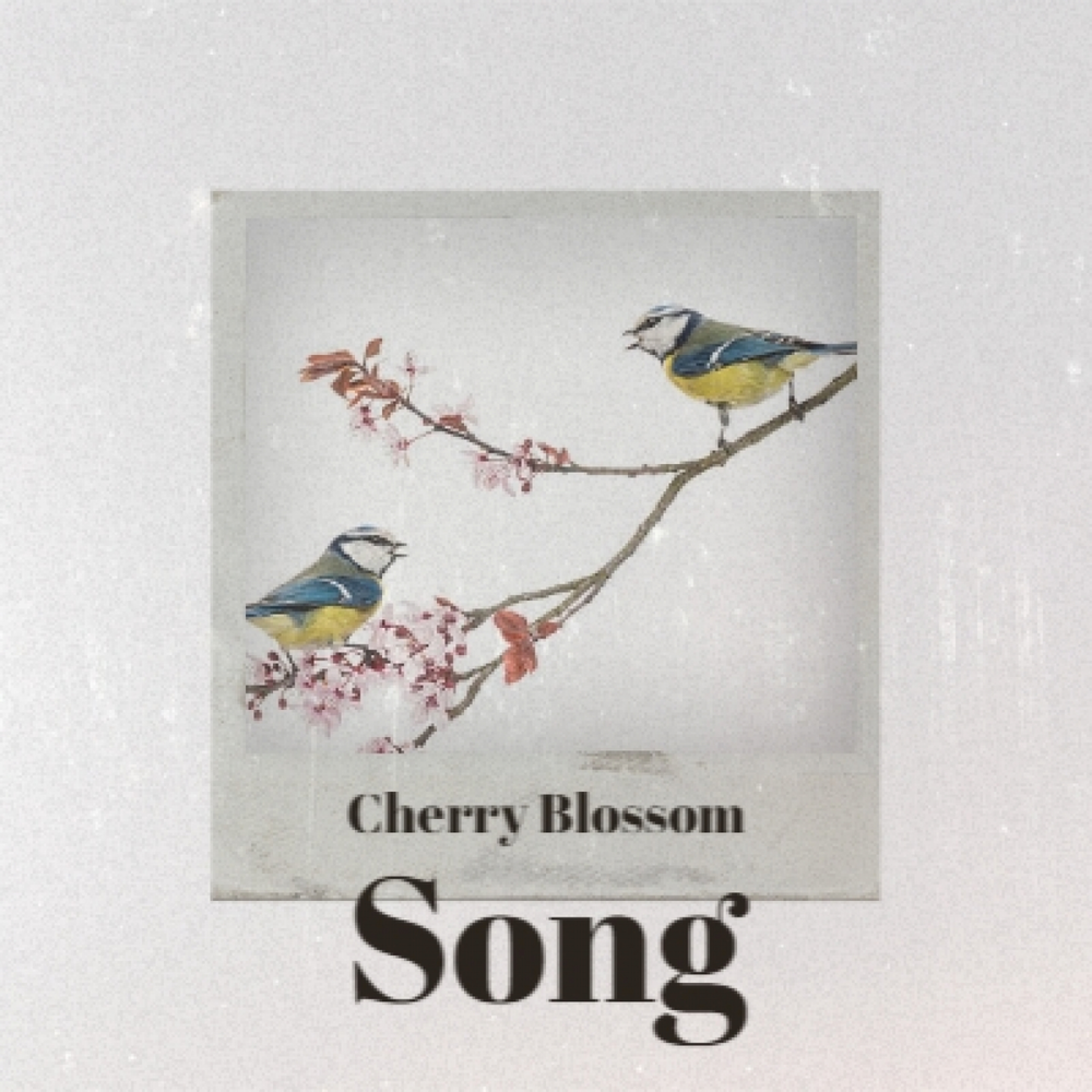 Cherry pink ноты. Porter robinson nature. Peach blossom цвет. Blossom dearie в молодости. Blossom песня перевод.