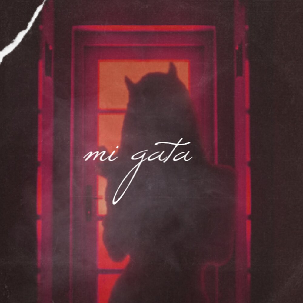 Gata only mp3