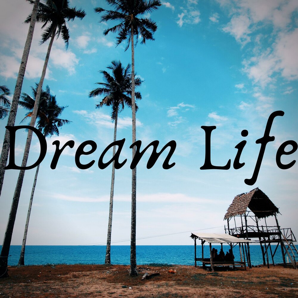 Проект dream life