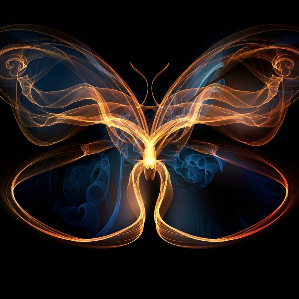 эффект крыла бабочки. эффект бабочки цитаты. взмах крыла бабочки. отражение бабочки. эффект бабочки лоренц.