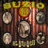 Suzio 13