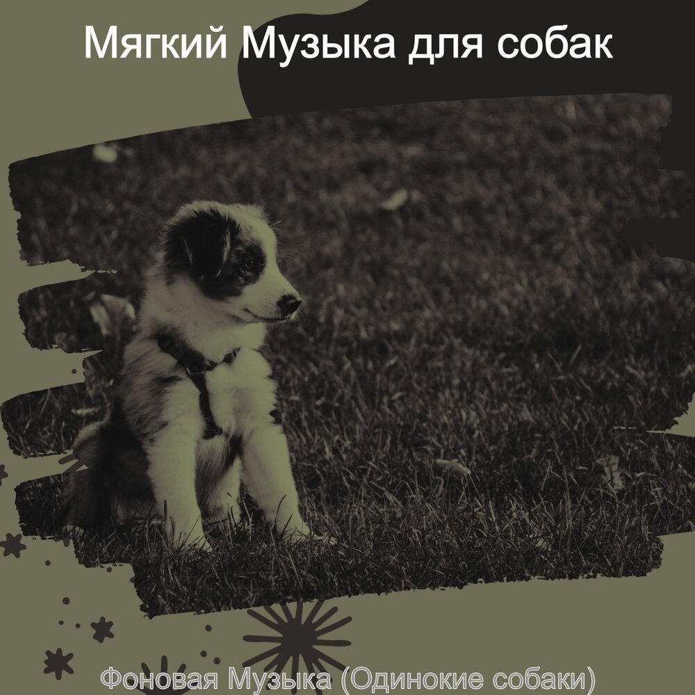 Песня про собаку рок. Щенки альбом. Собака слушает музыку. Песня про собаку.