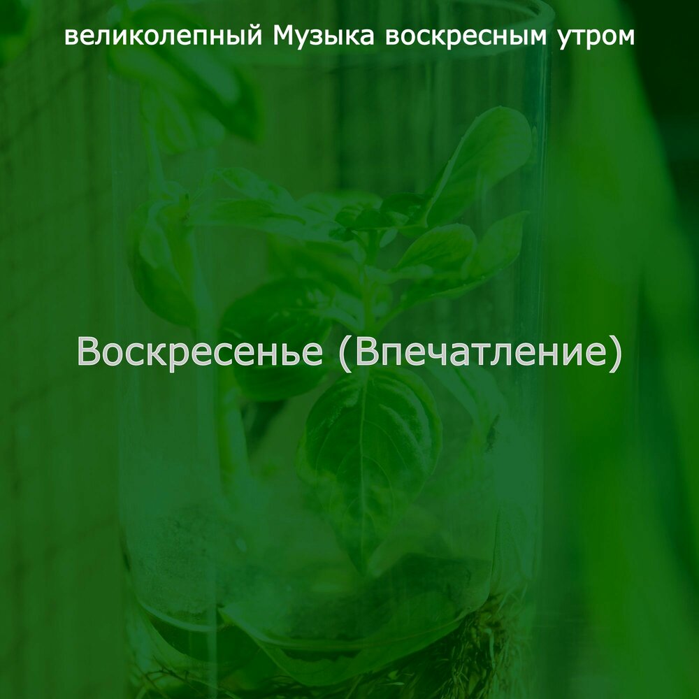 Алексеев воскресное. Песня Воскресное утро. Песни воскресного. Великолепного воскресенья.