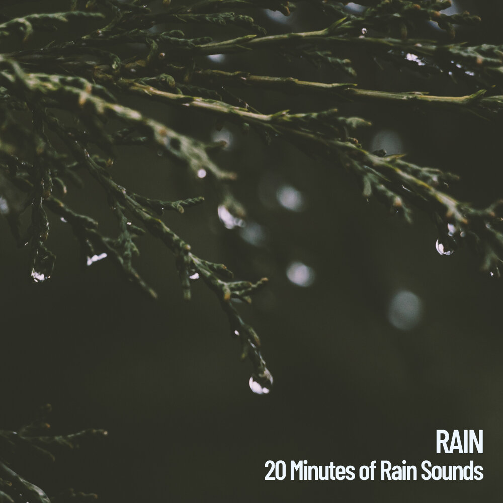 Rain 20