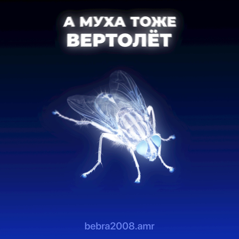 А муха тоже вертолет фото