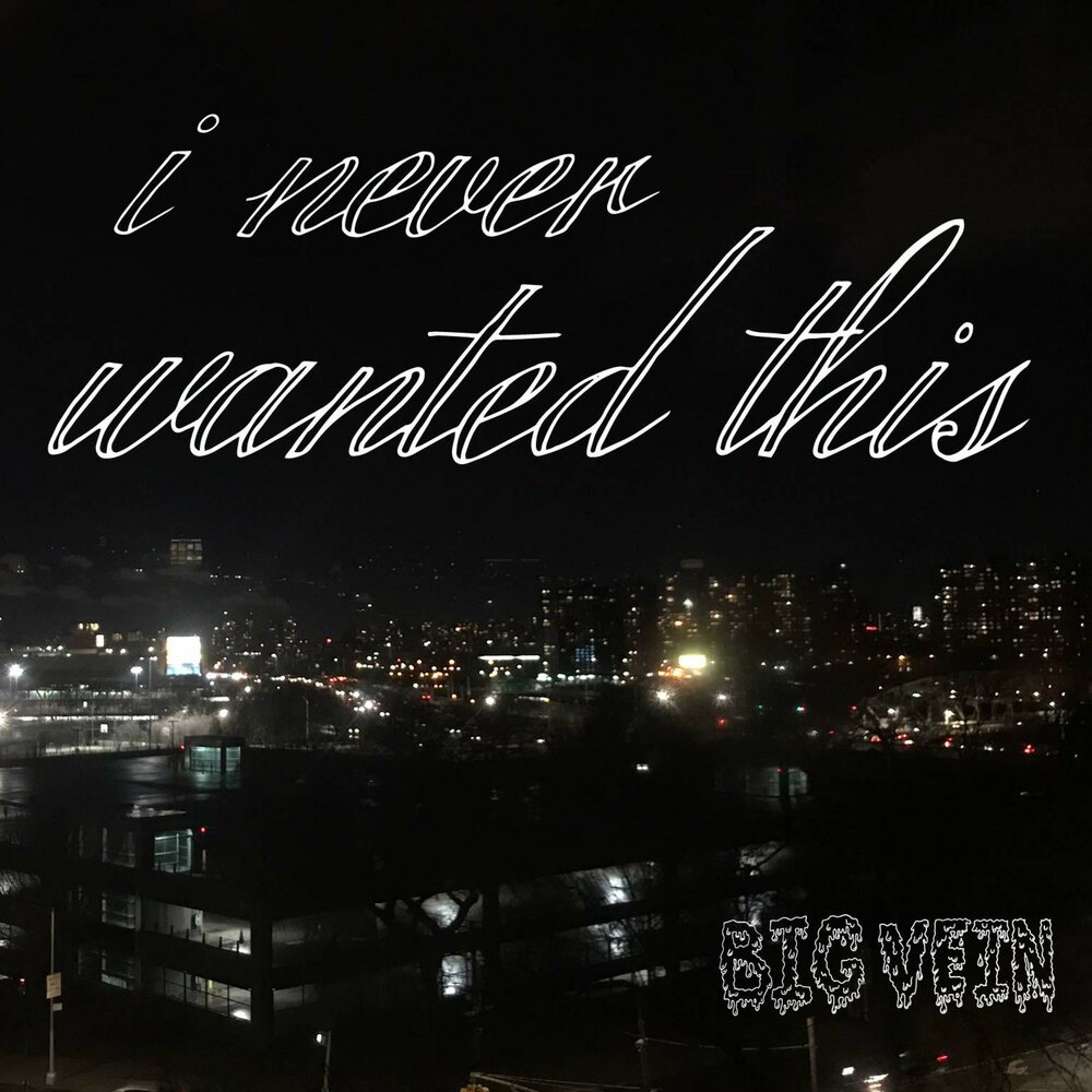 Angel quotes. I never wanted this. I never wanted this. I never wanted this.