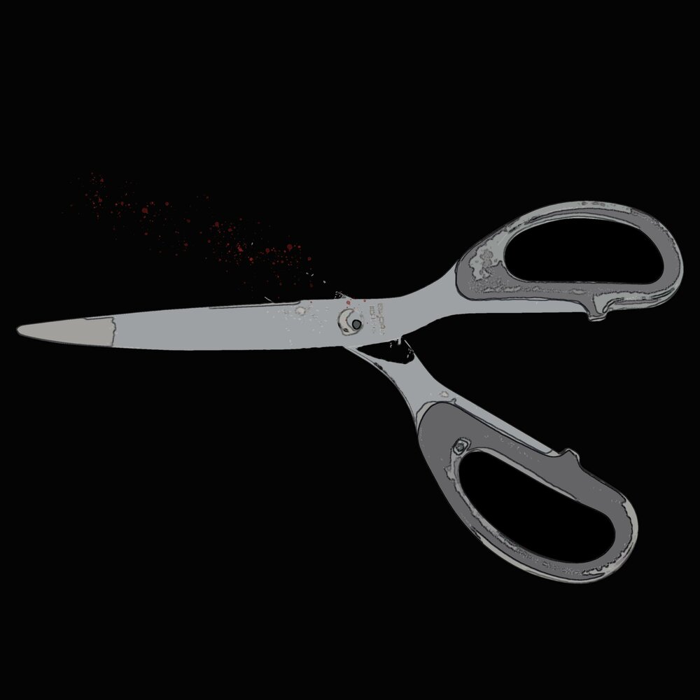 Genetic Scissors. Play with Scissors. Scissors Phoenix. Песня scissors