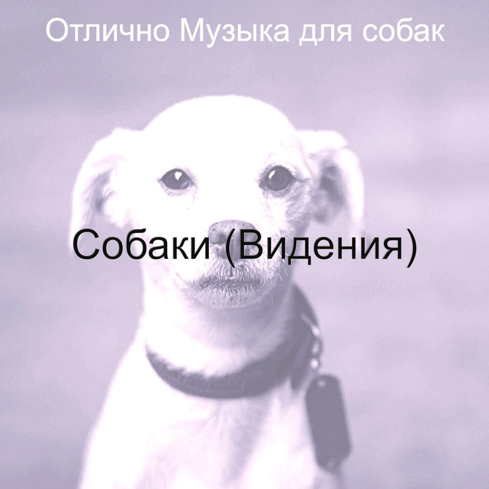 Альбомы и песни щенки. Песня про собачку. Песня мой пес слушать. Песня про собаку. Песня про собаку.