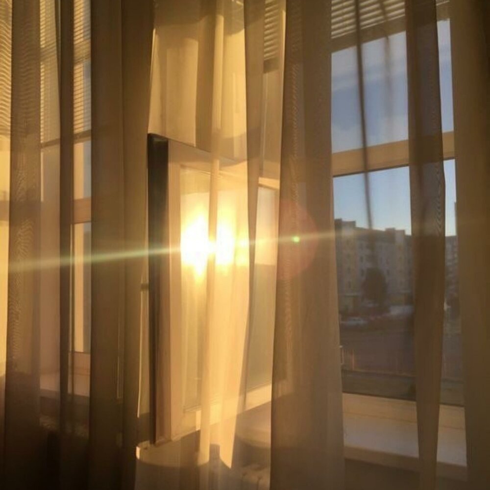 Солнечные лучи в окне
