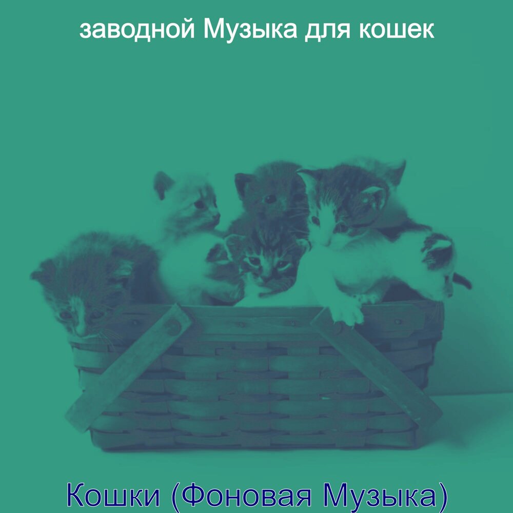 Альбом кошка. Расколбасная кошка. Музыка для кошек слушать