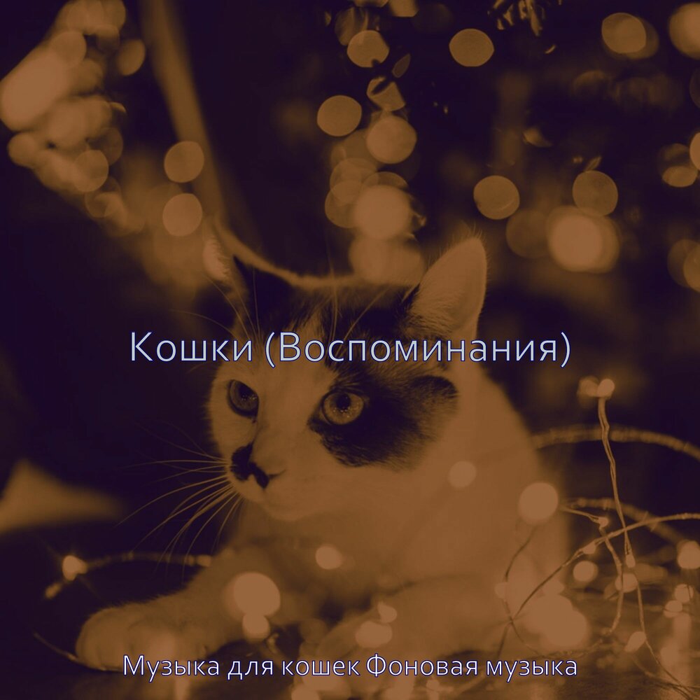 Мелодия кошка. Кошачья музыка для кошки слушать. Ритмичность кошек. Кошачья музыка для кошки слушать. Кошачья музыка для кошки слушать.