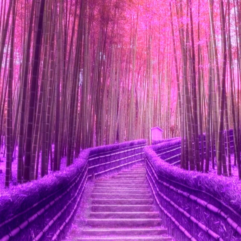 Mixed matches twenty. Streichholzer. наклейки для кия камикадзе купить. Mixed matches twenty. Mixed matches twenty.