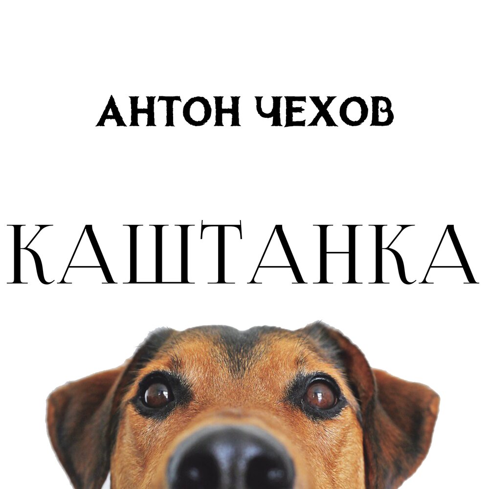 Каштанка аудиокнига.