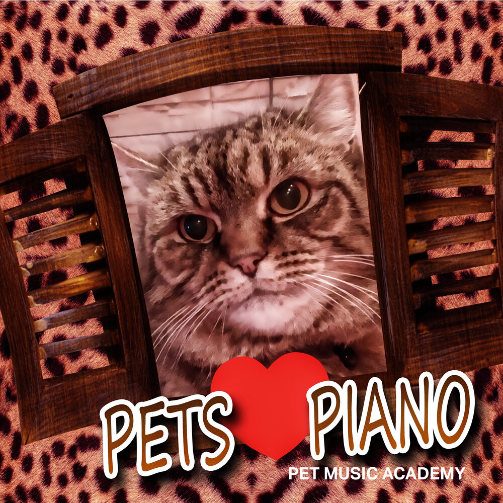 Pets Song. Chillout Pet. Pets and Music Music for Cats and friends - Vol. 2. Music pets