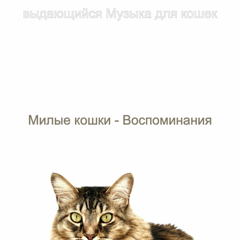 Коши слушать