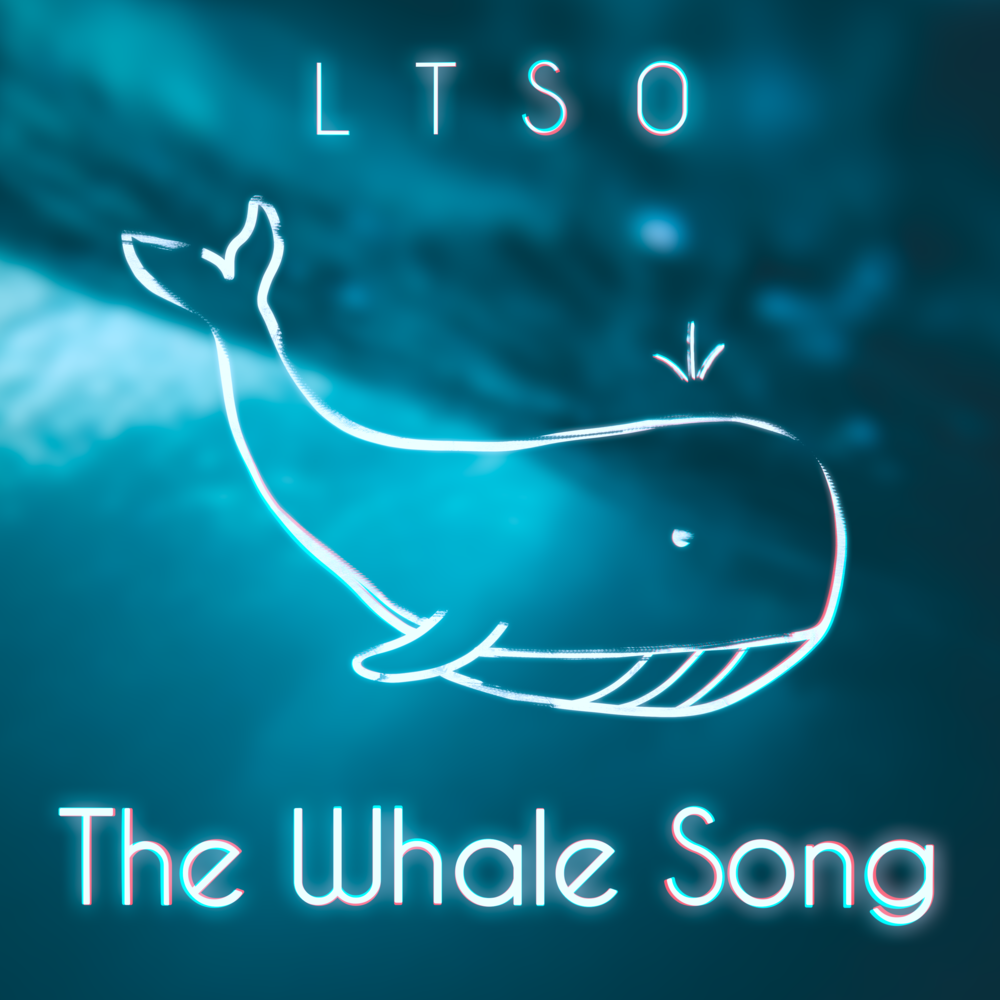 Песни китов слушать. Whale Song Studio.