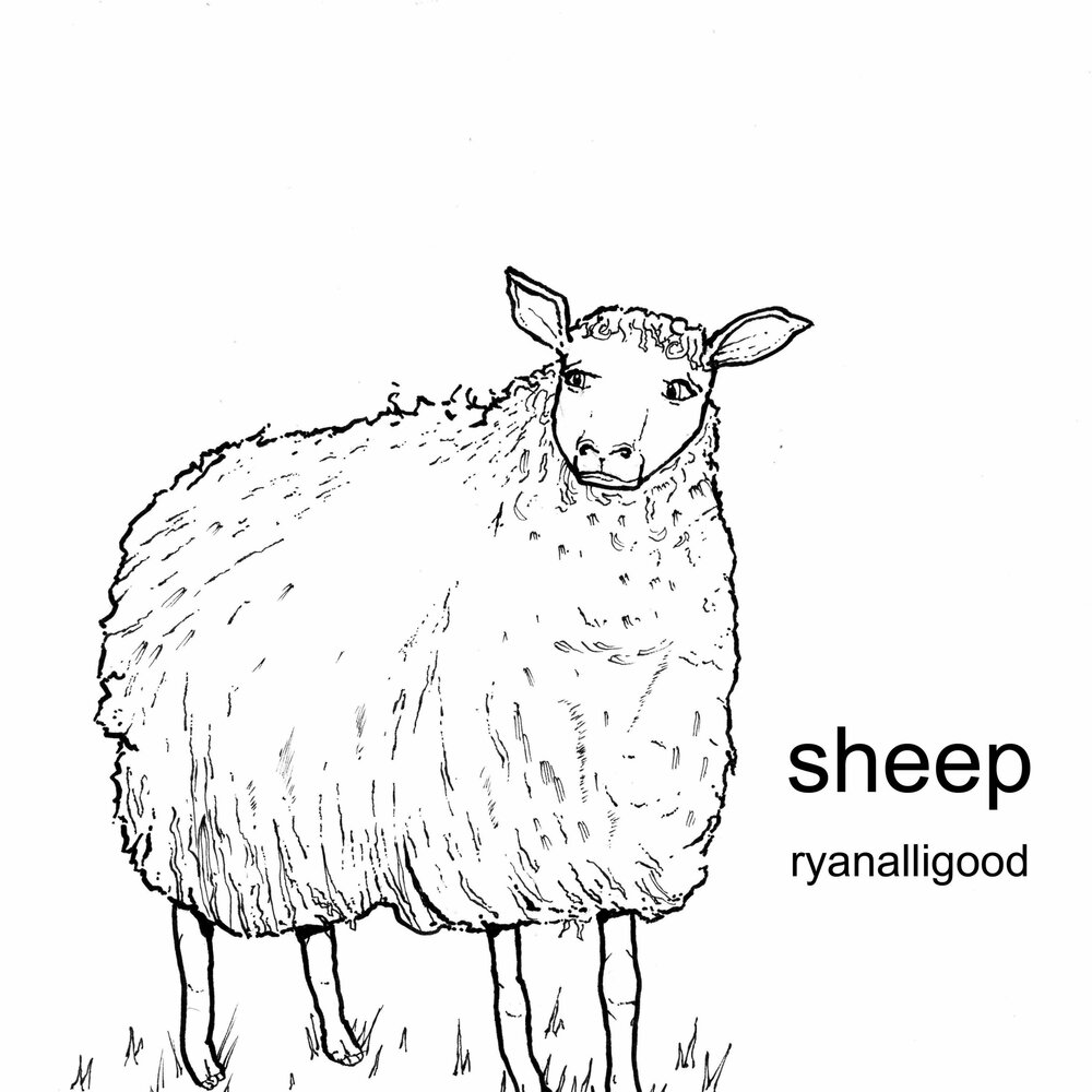 Песни sheep up. Lay "Sheep" альбом. Rothschild: the Sheep will Wake.