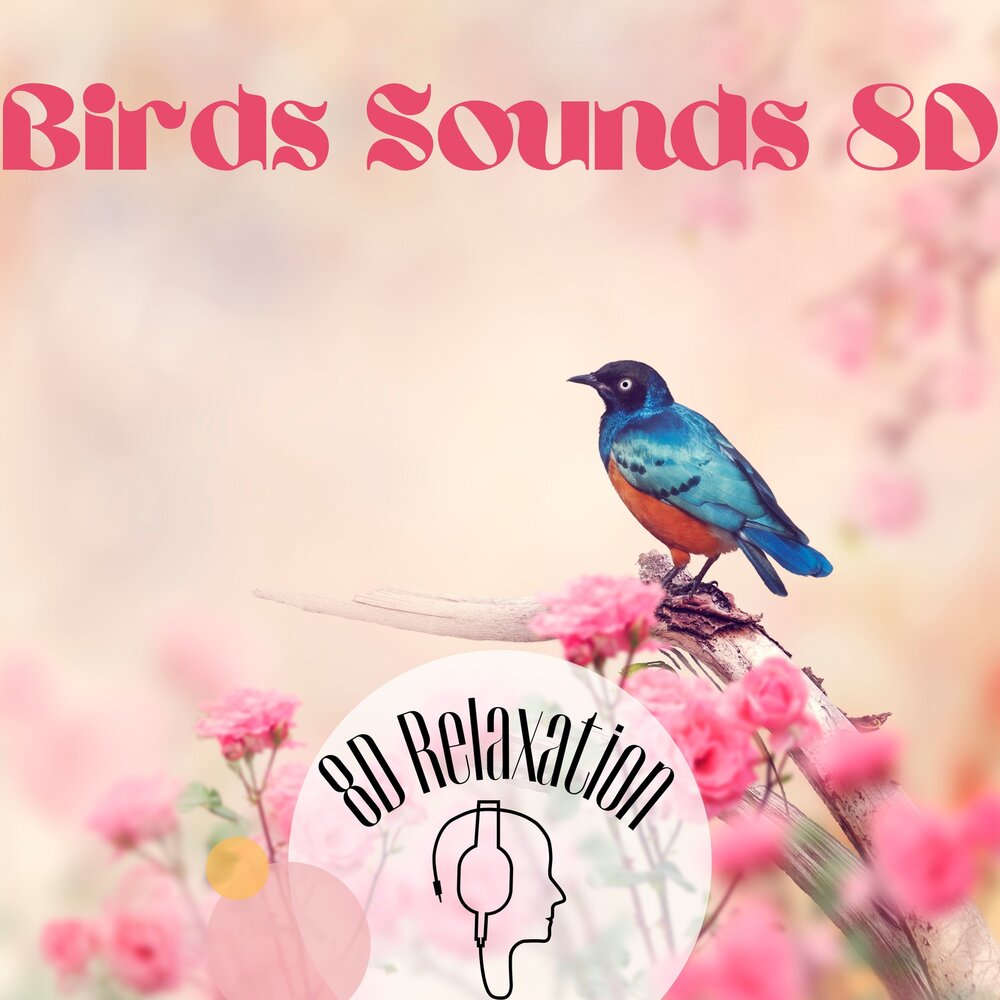 Слушать музыку птицы релакс. Bird Sound. Sound Birds in the morning.