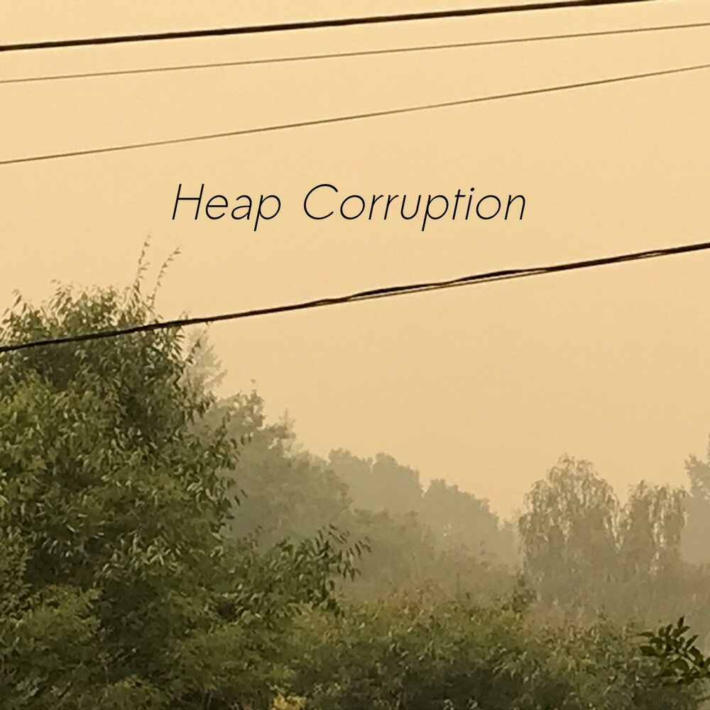 Status heap corruption. Heap dust.