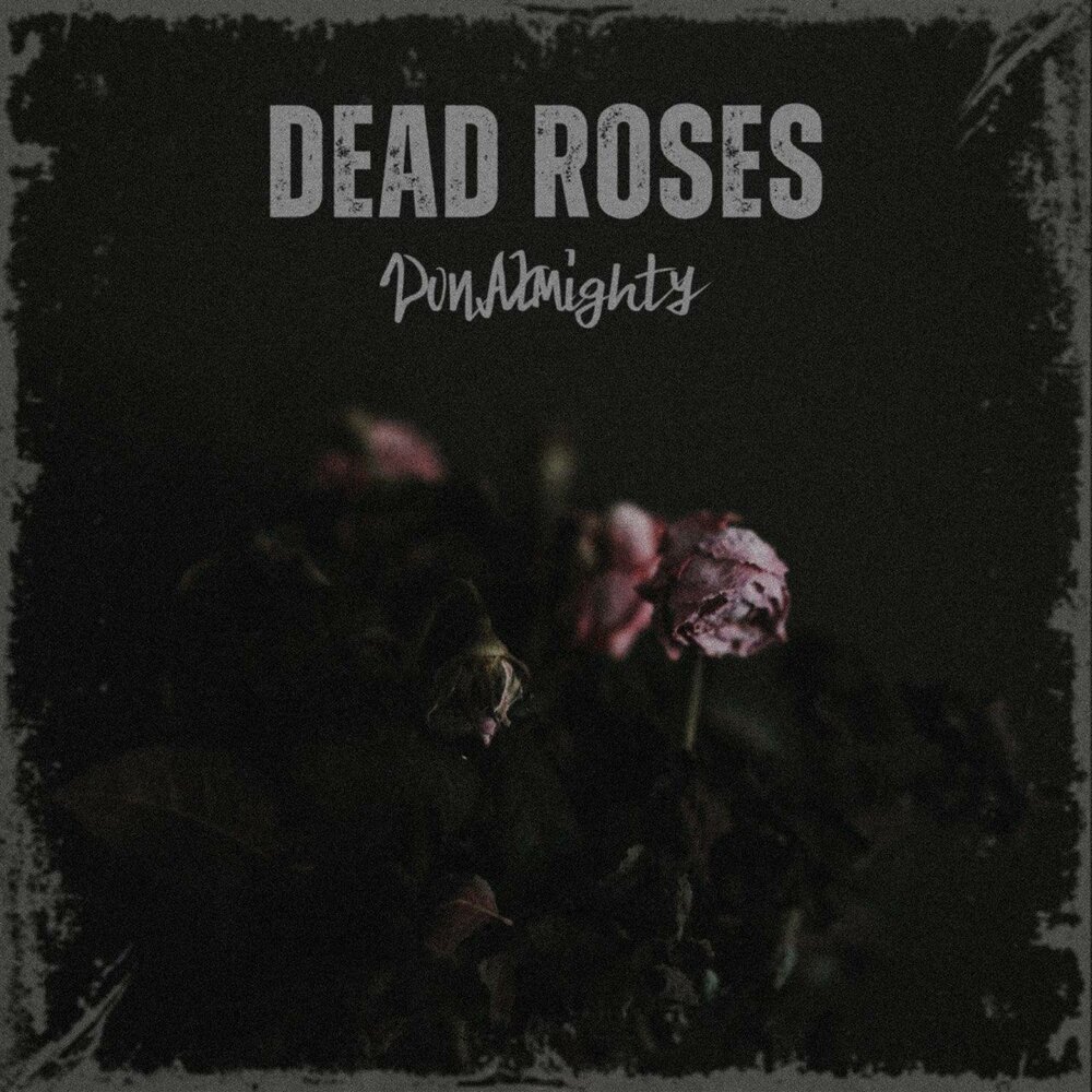 Dead roses