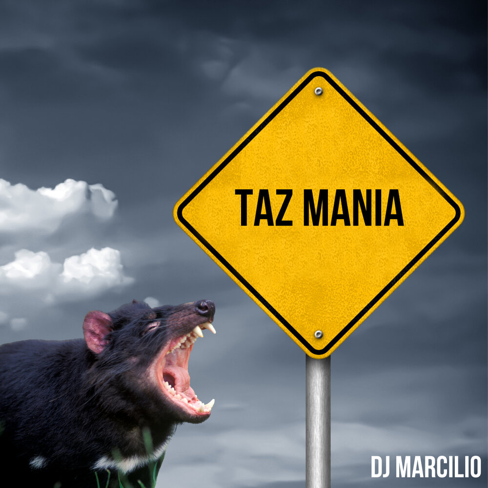 Taz music