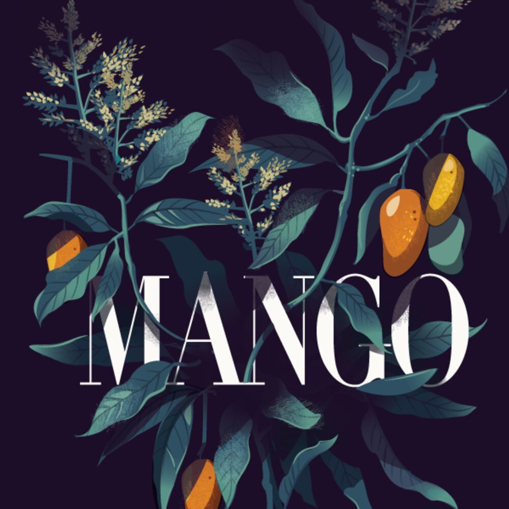 Host mango. Манго логотип. Растения дизайн графический. Манго иллюстрация. Манго на черном фоне.