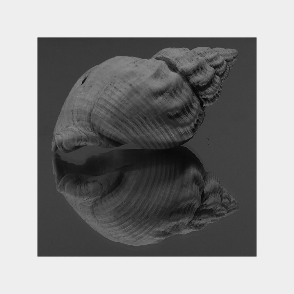 YandexMusic profile picture