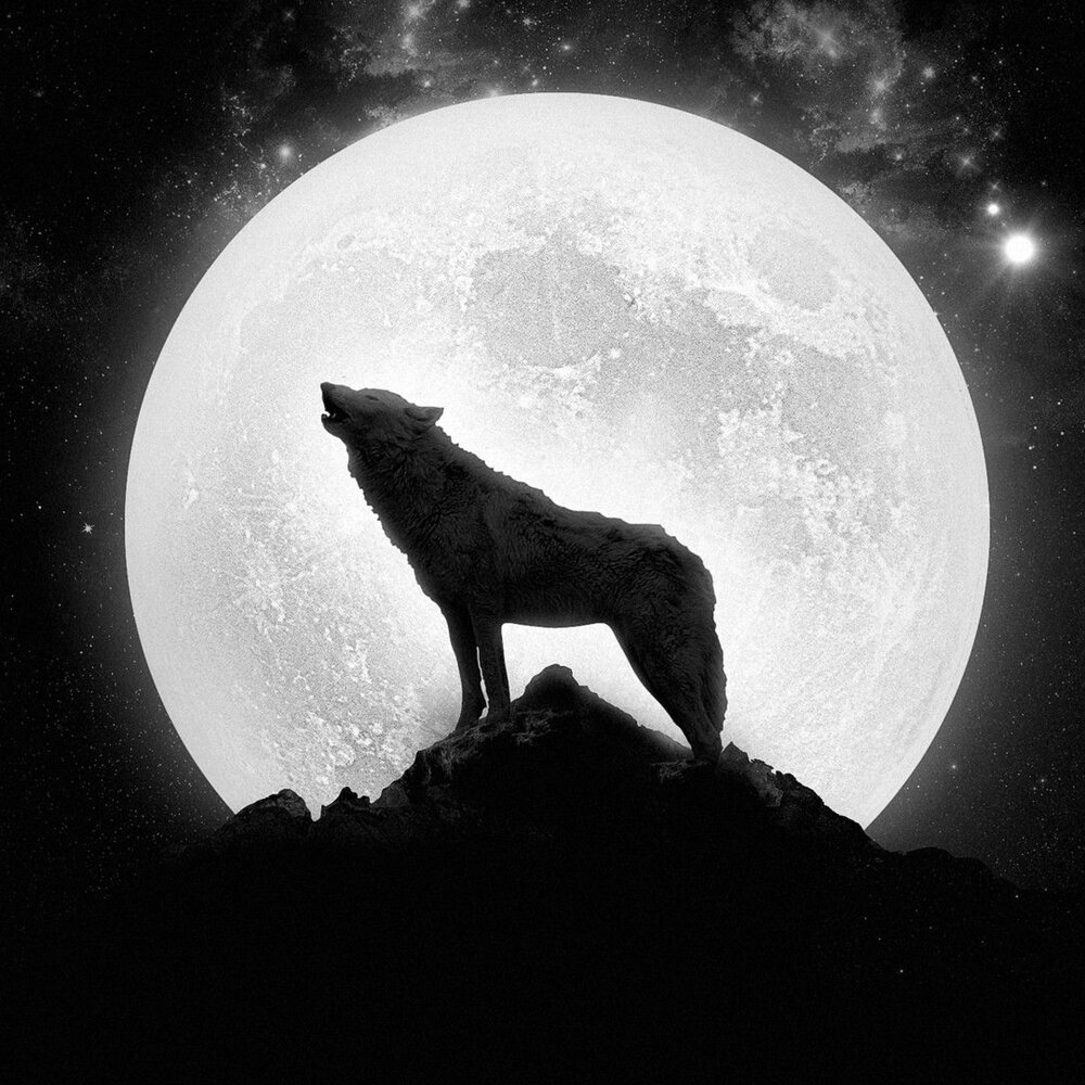 Howling Wolf музыкант