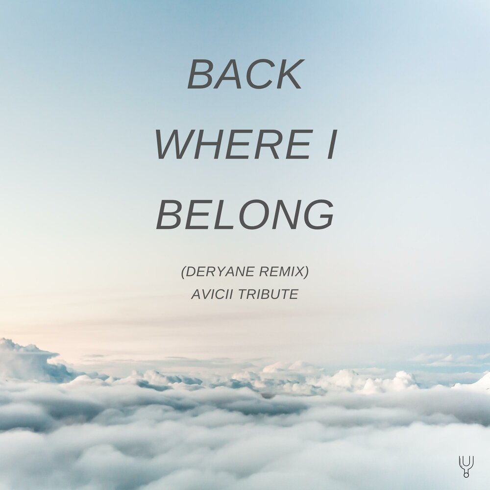 Where you belong. Avicii back where i belong. Where i belong. Back where i belong Cover.