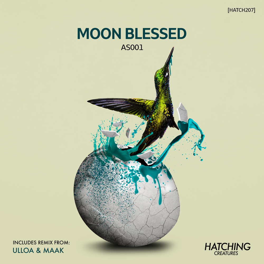 Moon Bless. The blessed Moon бренд. Lunar Blessing. Blessed moon