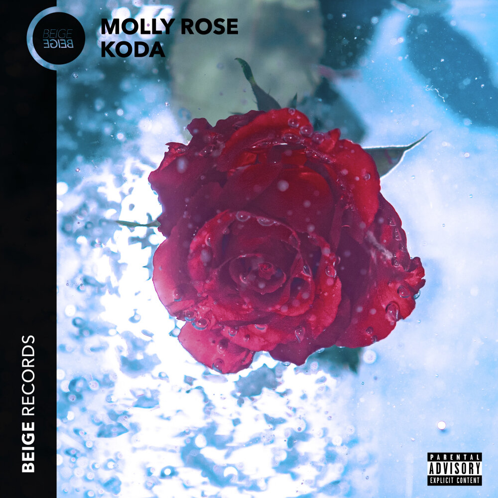 Molly Rose. Молли Роуз. Роза Moll\ecula. Molly Rose 123.