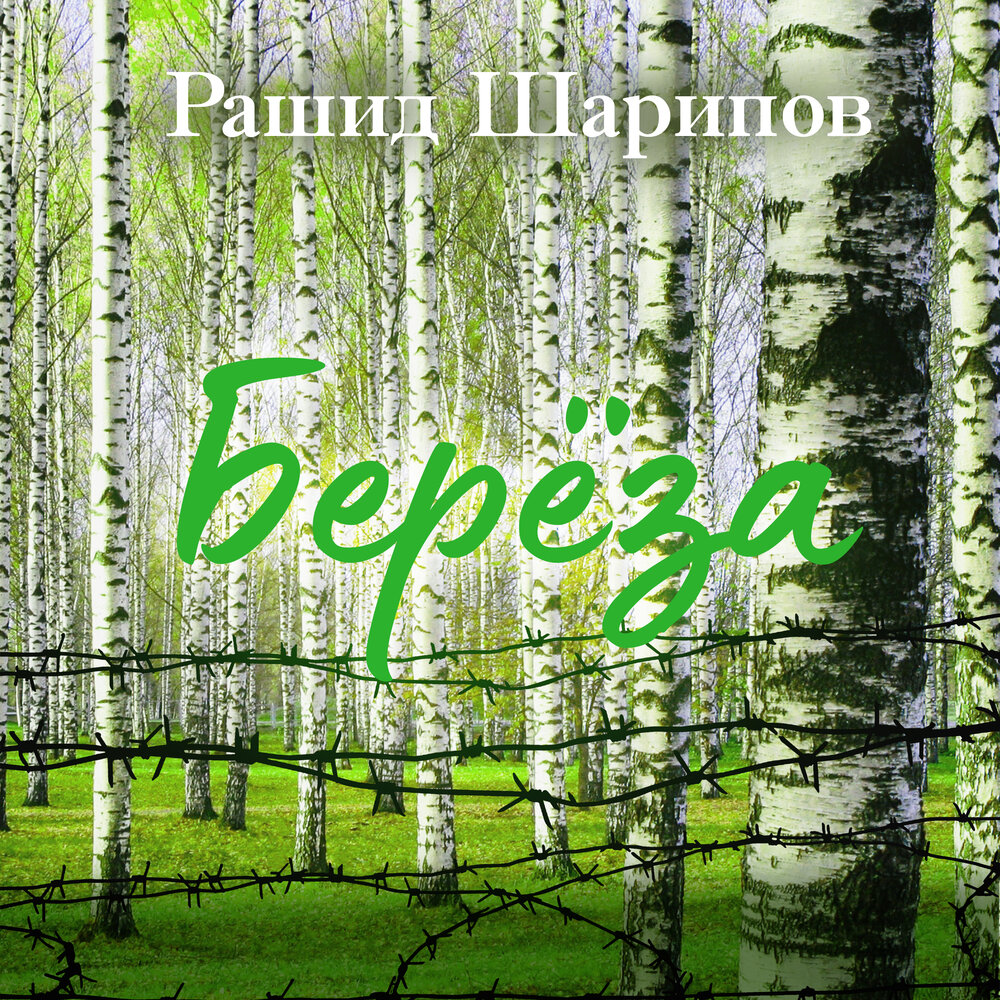 Песня березы послушать