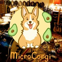 artist-cover