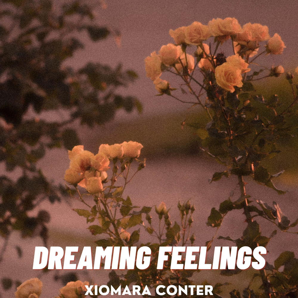 Feeling dream. Feeling dream