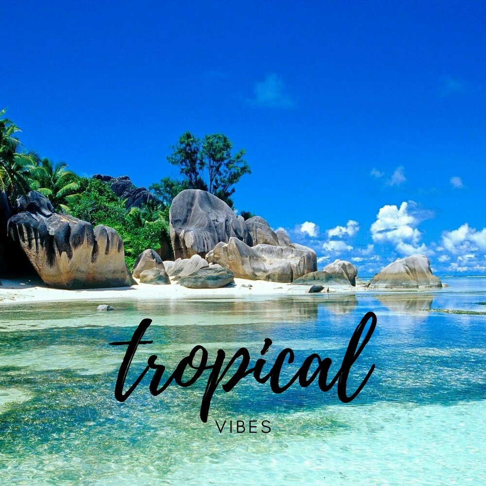 Включи tropical. Тропический Вайб. Tropical Vibes.