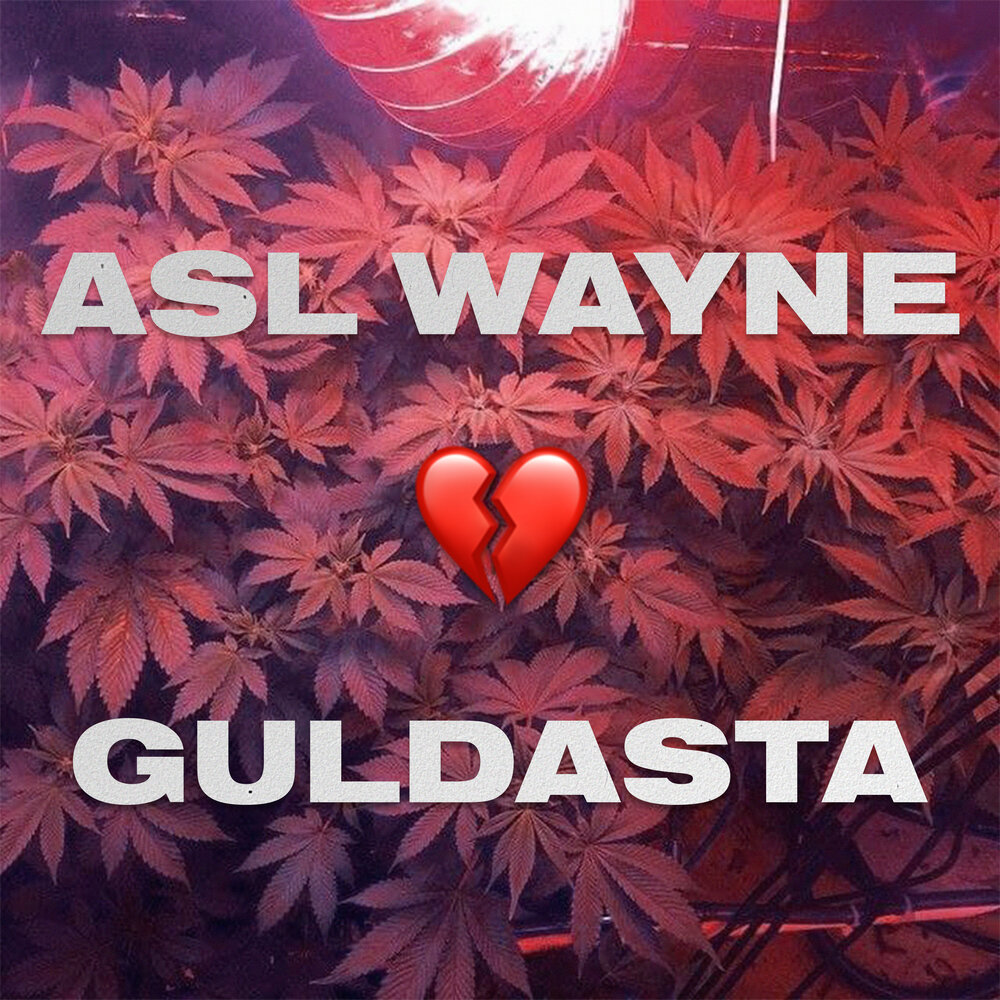 Asl wayne mp3. ASL Wayne. ASL Wayne Guldasta. ASL Wayne 2021. ASL Wayne Inon.