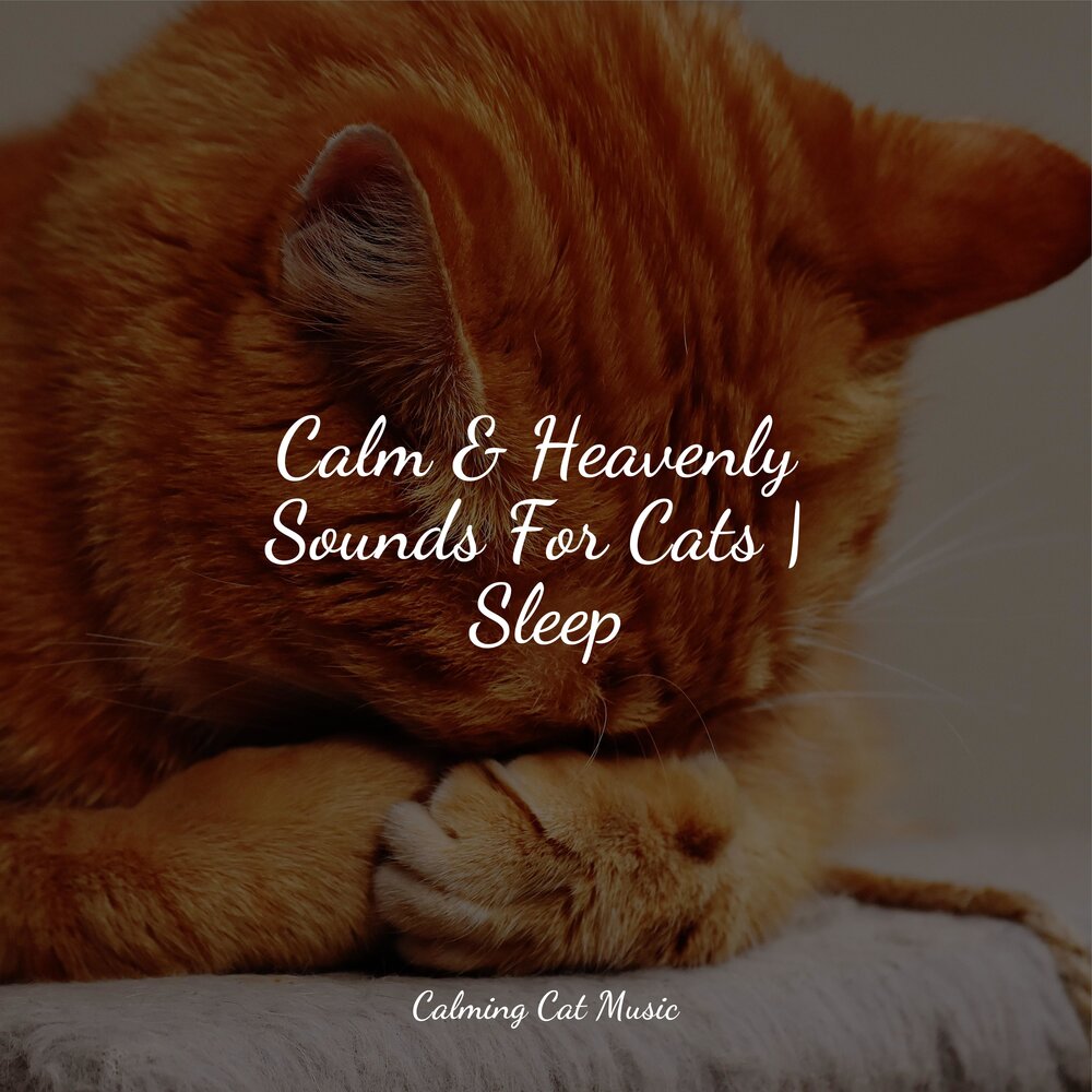 Music for cats. Calming Music for Cats. Relaxing Music for Cats.