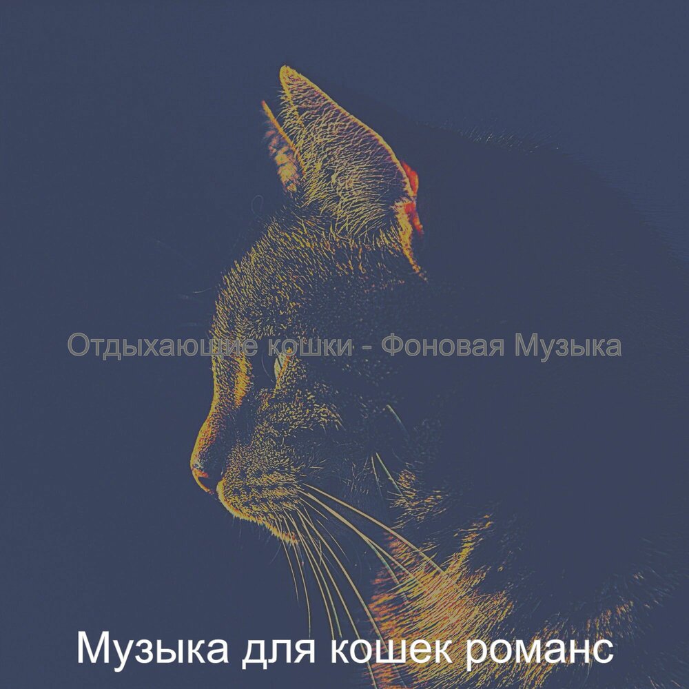 Песни моя кошка. Звуки кошек для кота слушать. Песня про кошку. Кошечки слушают музыку. Песни моя кошка.