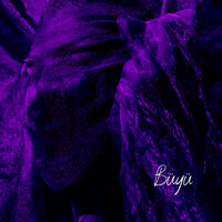 artist-cover