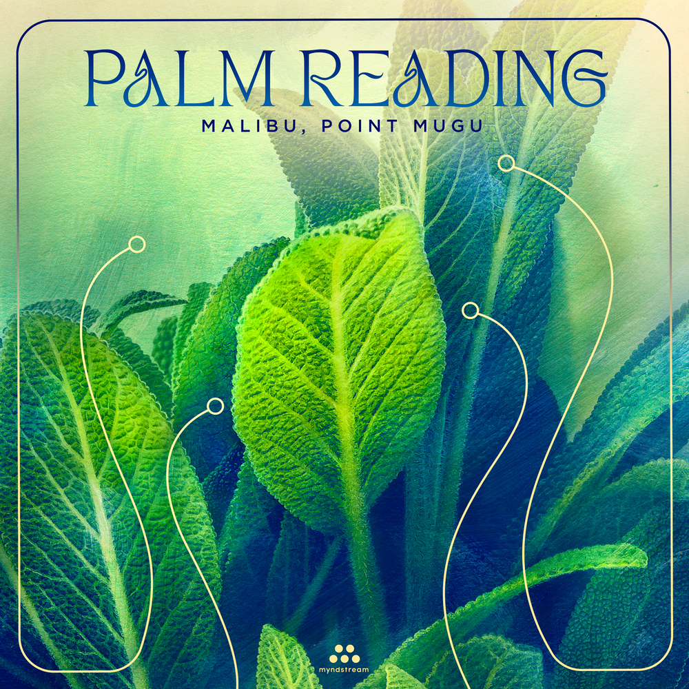 The reading Palms.