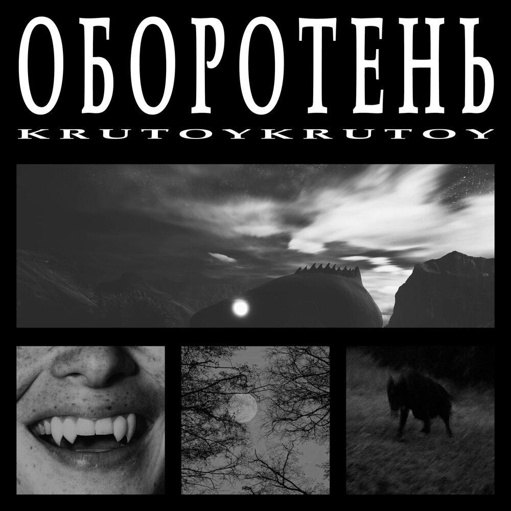 Проект оборотень слушать онлайн бесплатно Проект Оборотень (Земляной Андрей) слушать аудиокнигу онлайн